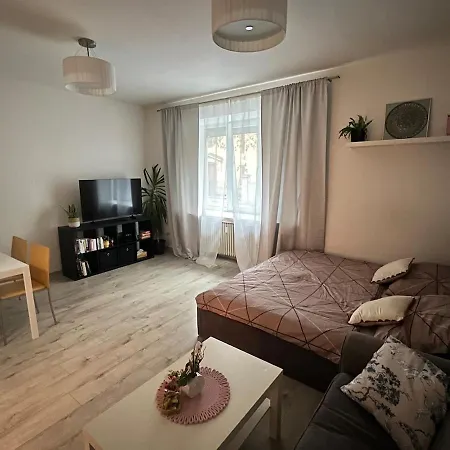 1-bedroom In The Center Of
