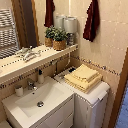 1-bedroom In The Center Of דירה