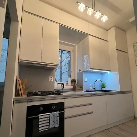 1-bedroom In The Center Of דירה *