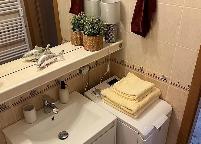 1-bedroom In The Center Of アパート