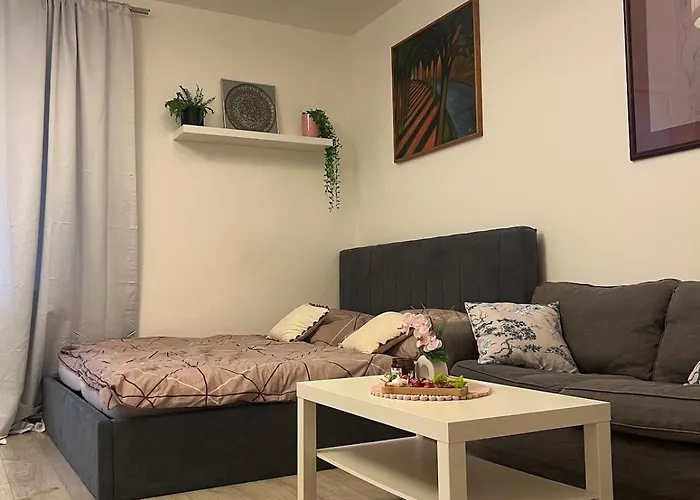 1-bedroom In The Center Of Apartament Bratislava