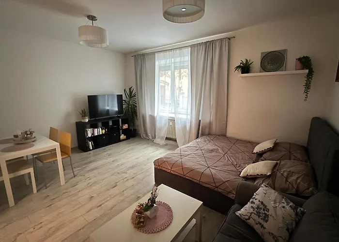 1-bedroom In The Center Of